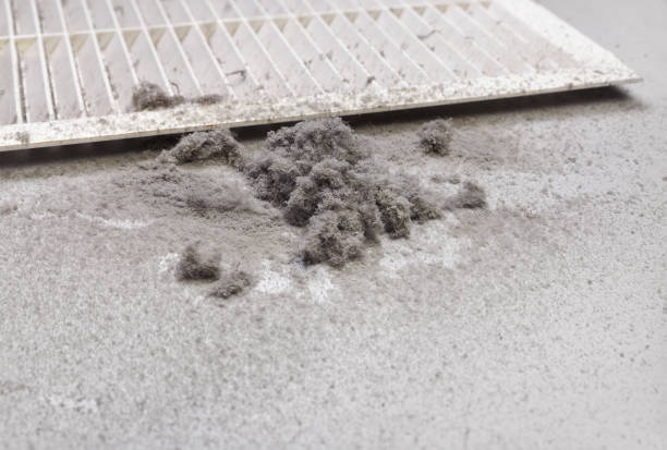 Best Ventilation Cleaning Services  in Sumter, SC