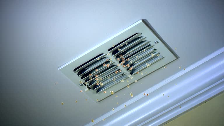 Best Residential Air Duct Cleaning  in Sumter, SC